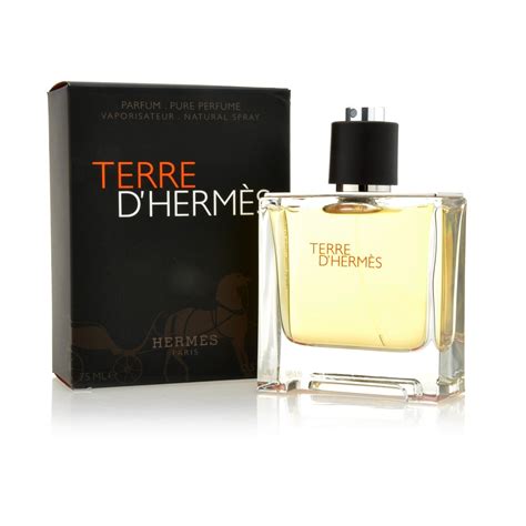 terre d hermes uomo composizione|terre hermes cologne 2006.